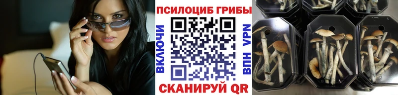 Галлюциногенные грибы MAGIC MUSHROOMS Онега