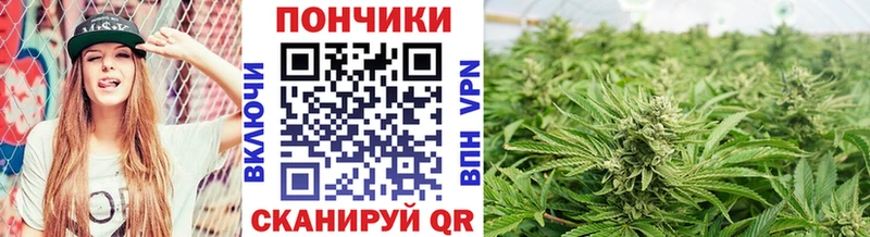Каннабис индика Онега
